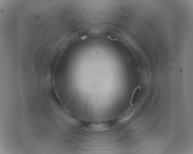 X0000076380557200610202042