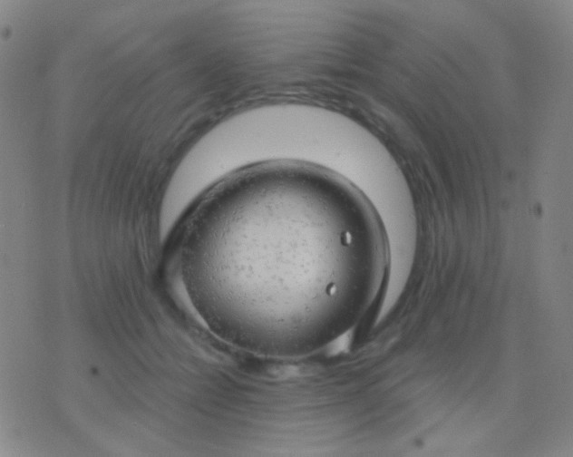 X0000076380558200610202042