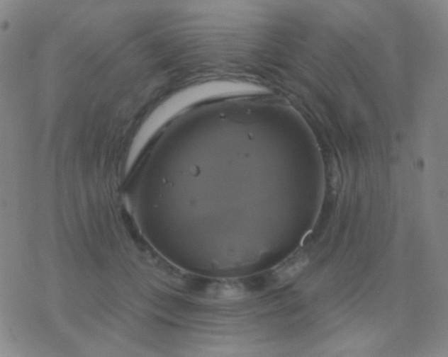 X0000076380559200610202042