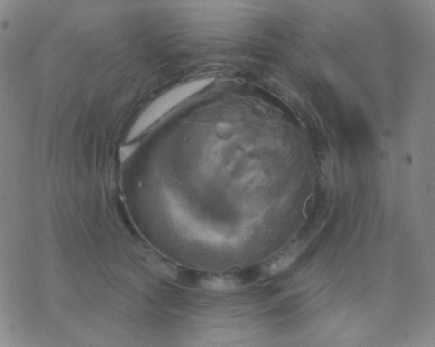 X0000076380561200610202042