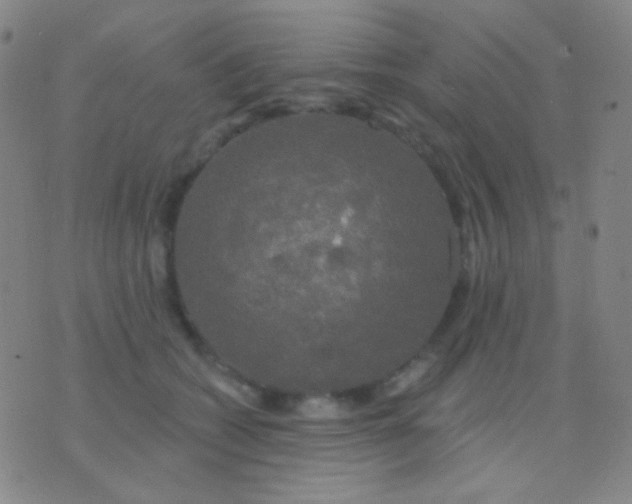 X0000076380562200610202042