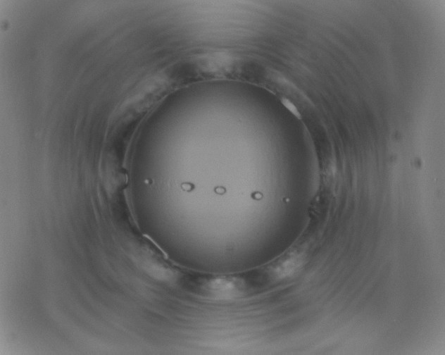 X0000076380566200610202042