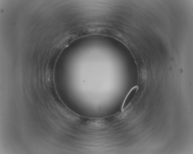 X0000076380567200610202042