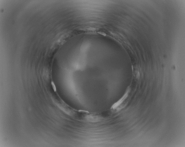 X0000076380568200610202042