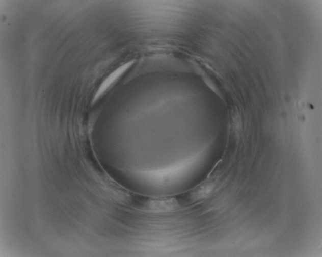 X0000076380571200610202042