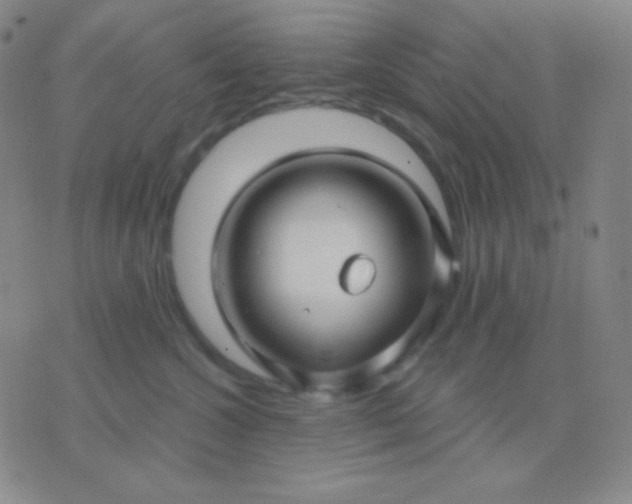 X0000076380572200610202042