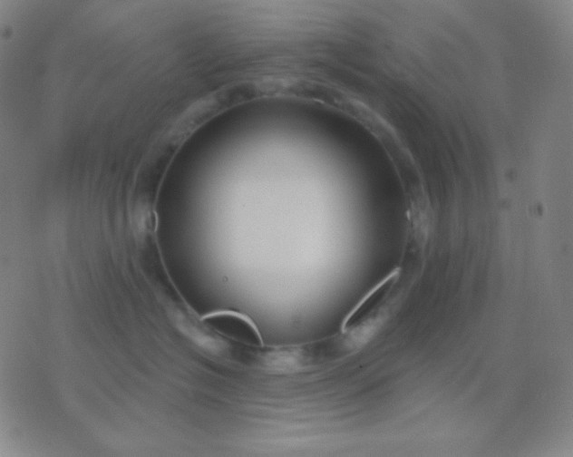 X0000076380574200610202042