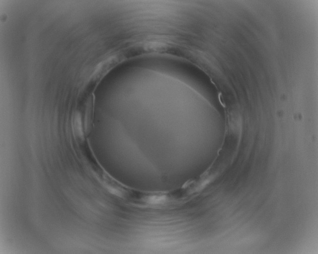 X0000076380575200610202042