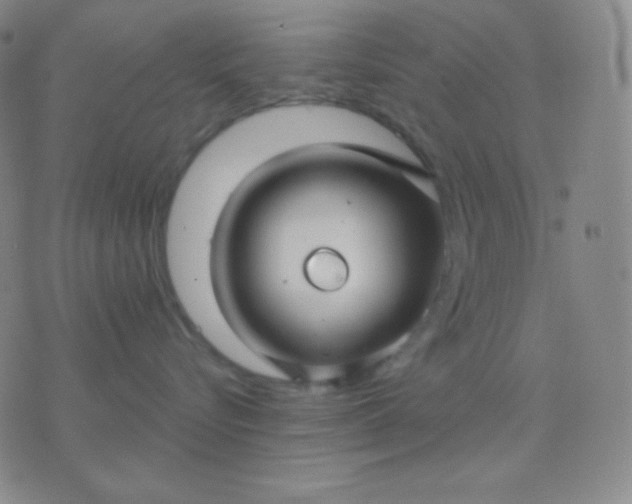 X0000076380576200610202042