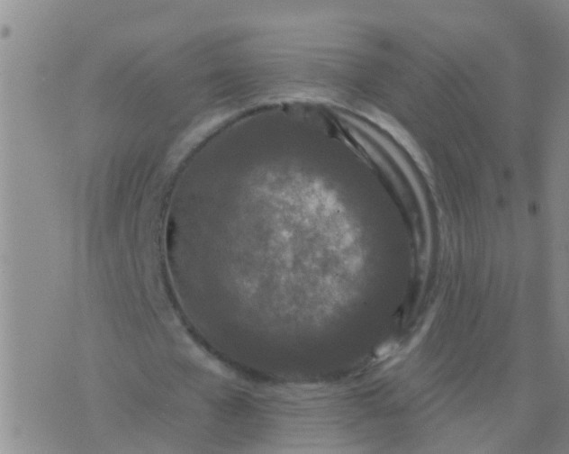 X0000076380577200610202041