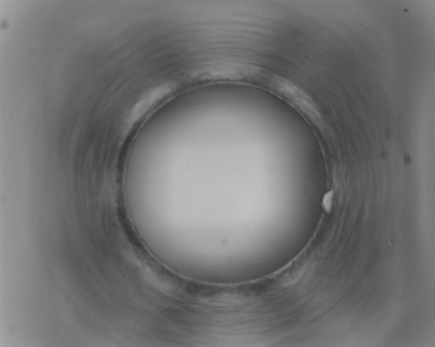 X0000076380578200610202041