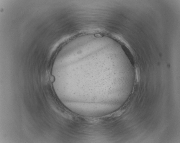 X0000076380579200610202041