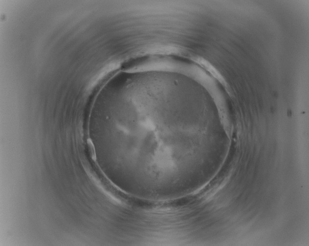 X0000076380581200610202041