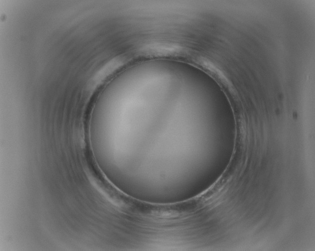 X0000076380582200610202041