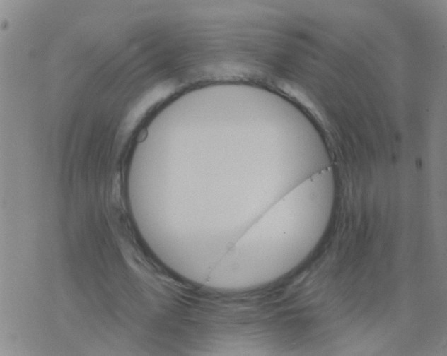 X0000076380583200610202041