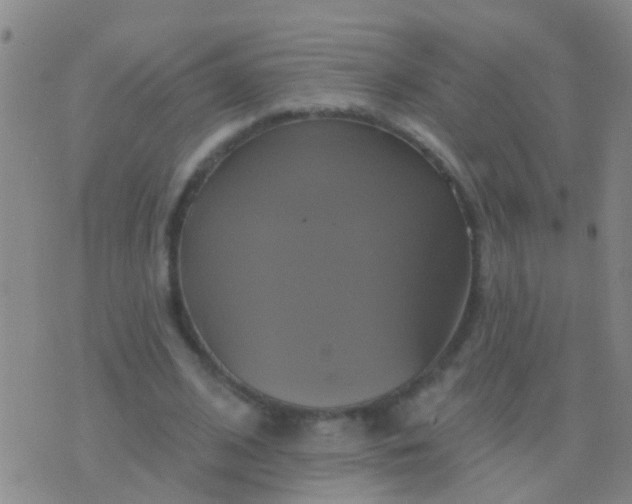 X0000076380584200610202041