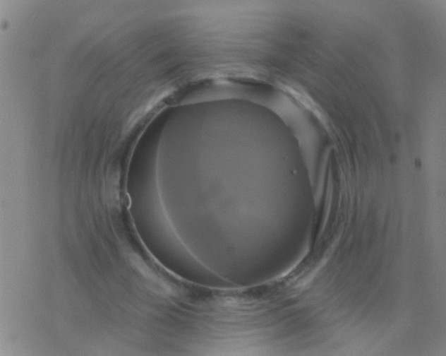 X0000076380585200610202041