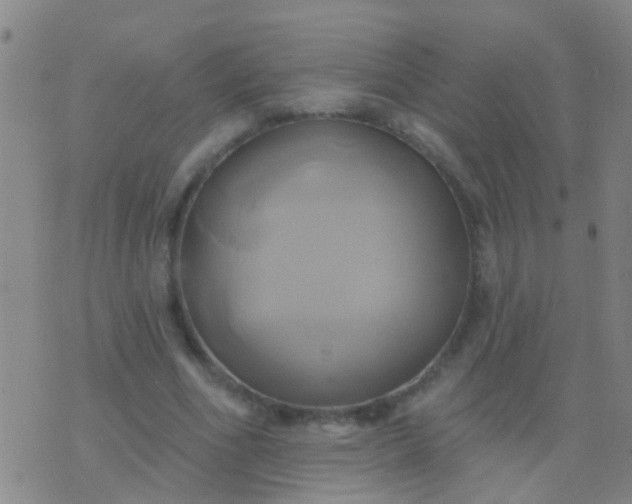 X0000076380586200610202041