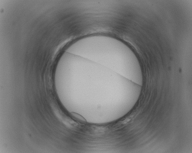 X0000076380587200610202041