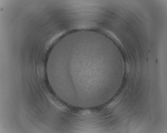 X0000076380588200610202041