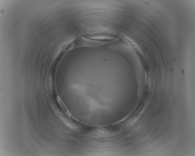 X0000076380589200610202041