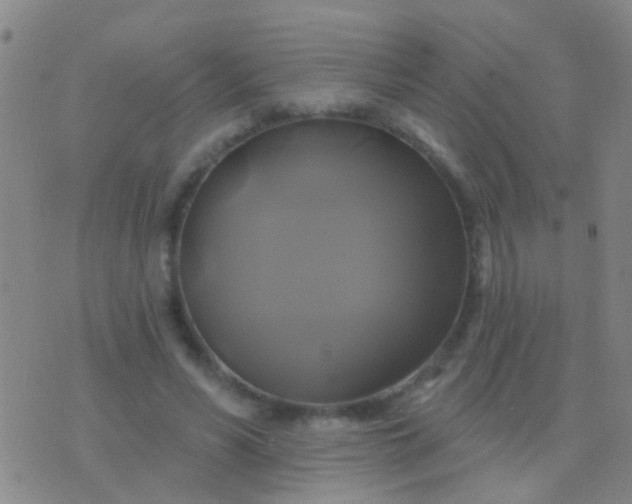 X0000076380590200610202041