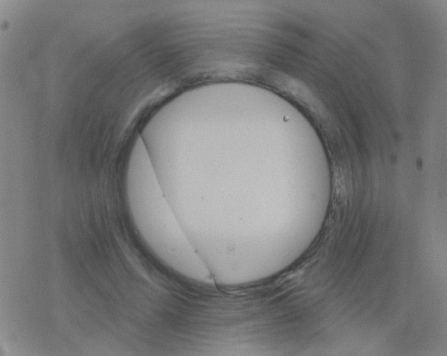 X0000076380591200610202041