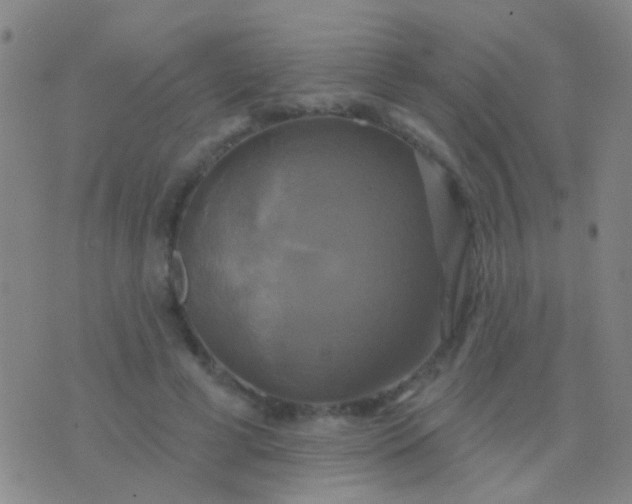 X0000076380593200610202041