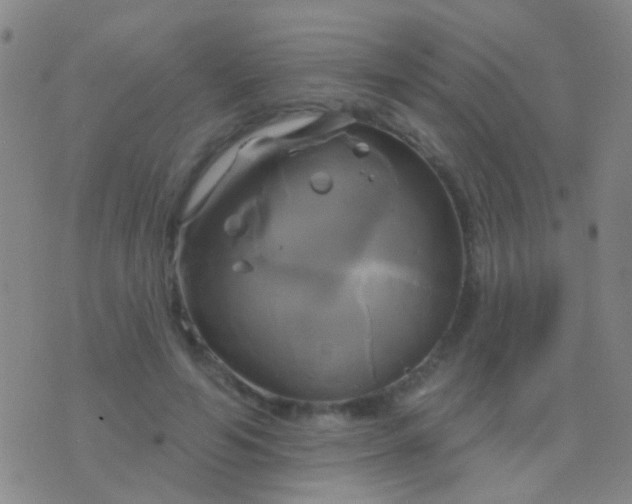 X0000076380594200610202041