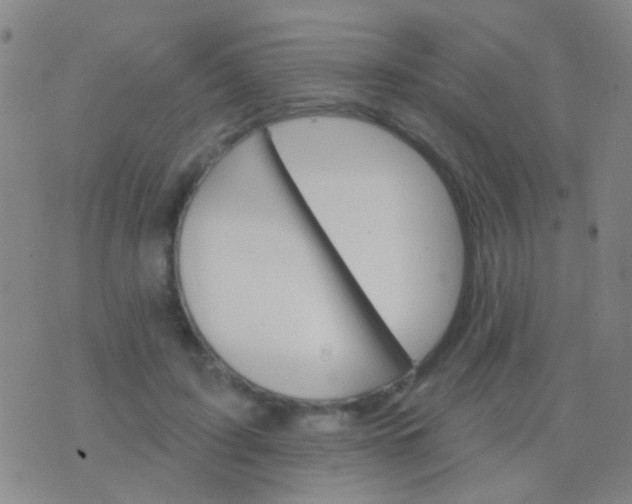 X0000076380595200610202041