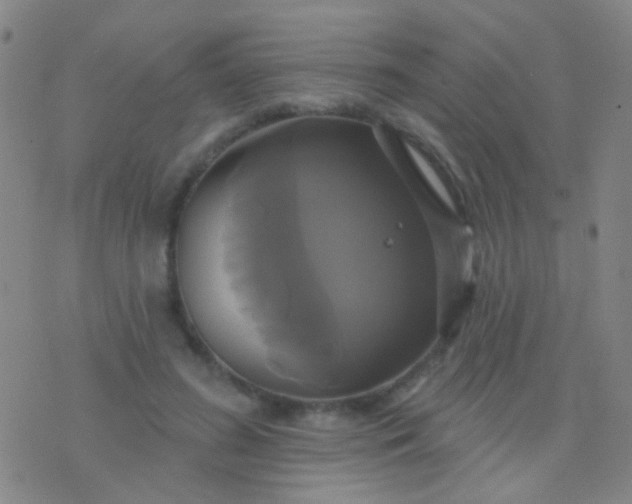 X0000076380596200610202041