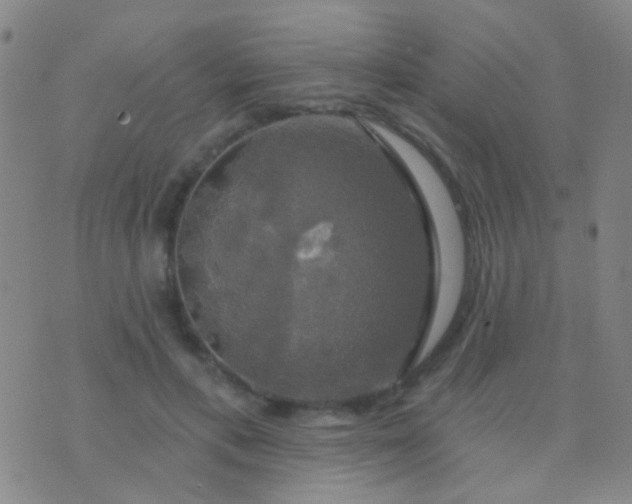 X0000076380597200610202041