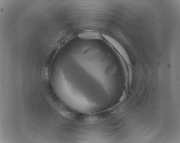 X0000076380598200610202041