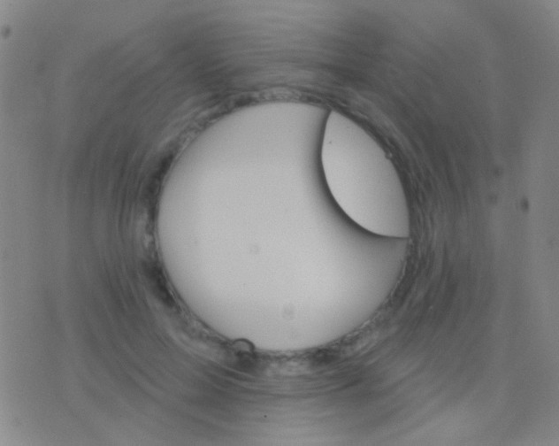 X0000076380599200610202041