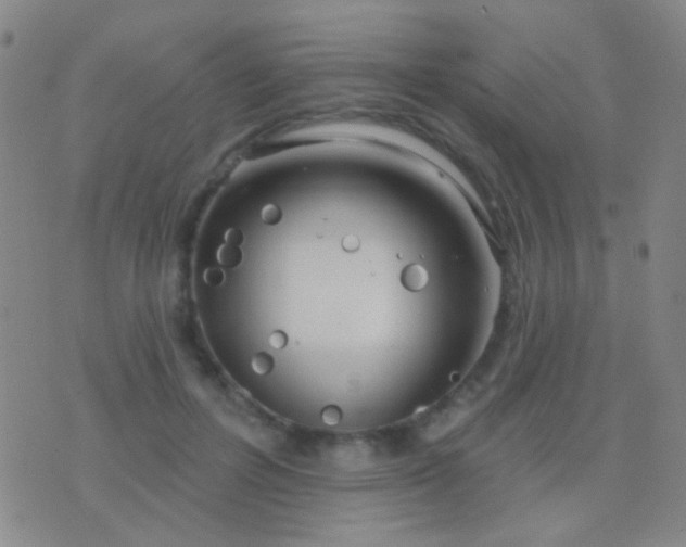 X0000076380600200610202041