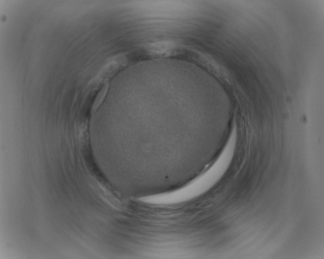 X0000076380601200610202041