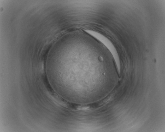 X0000076380602200610202041