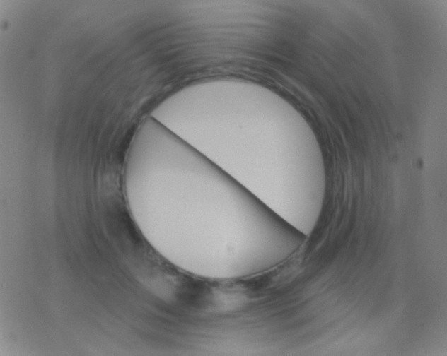 X0000076380603200610202041