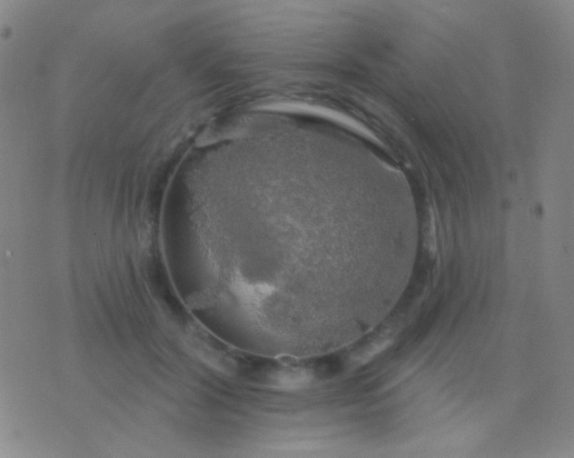 X0000076380604200610202041