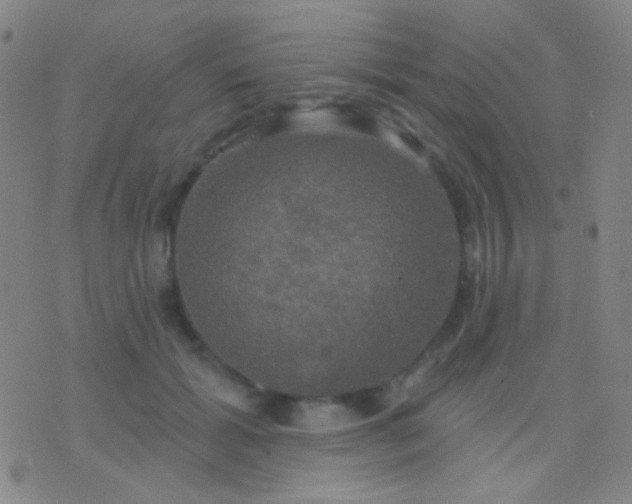 X0000076380605200610202041