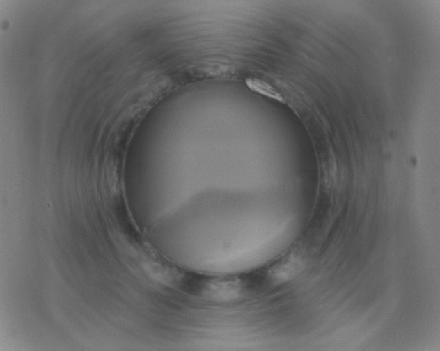 X0000076380606200610202041