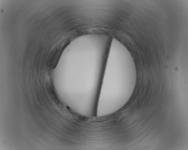 X0000076380607200610202041