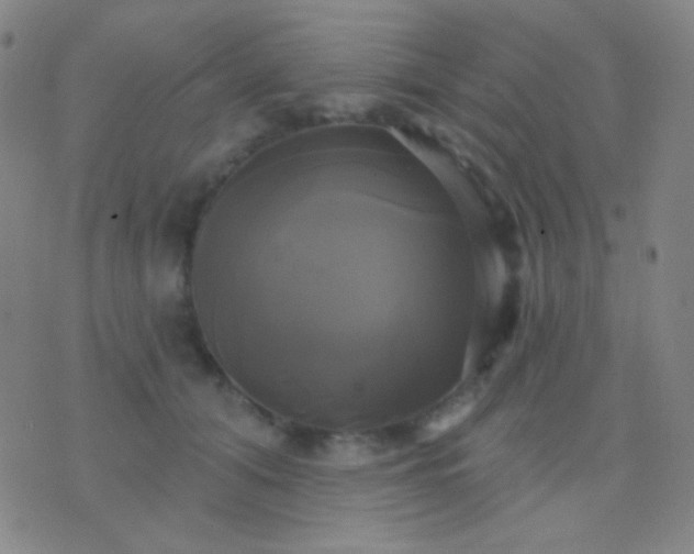 X0000076380608200610202041