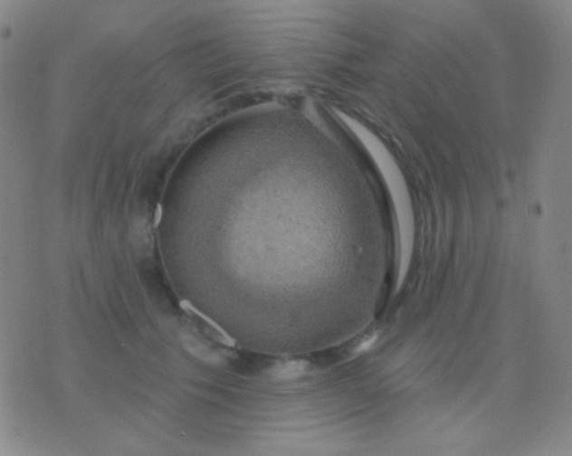 X0000076380609200610202041