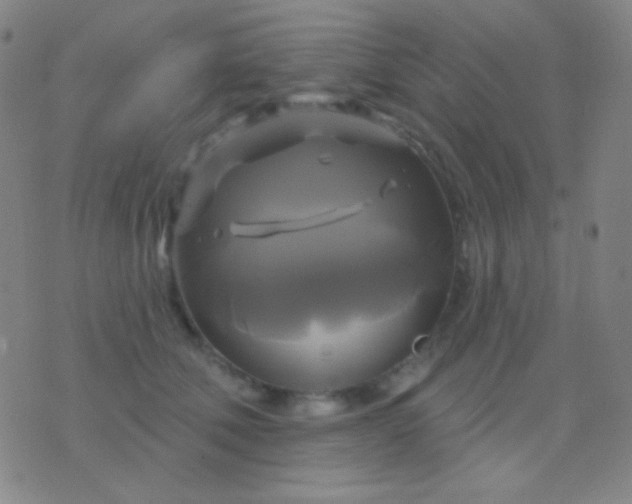 X0000076380610200610202041