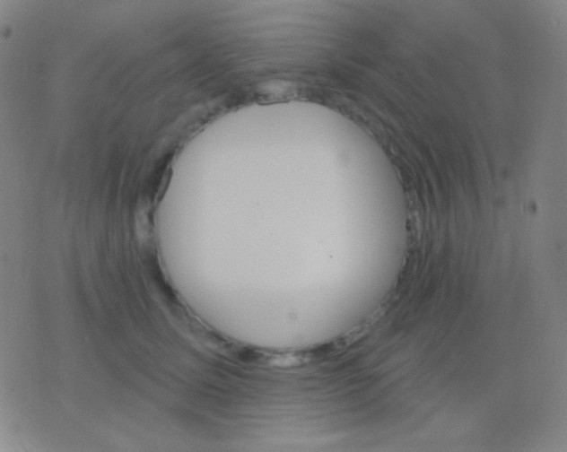 X0000076380611200610202041