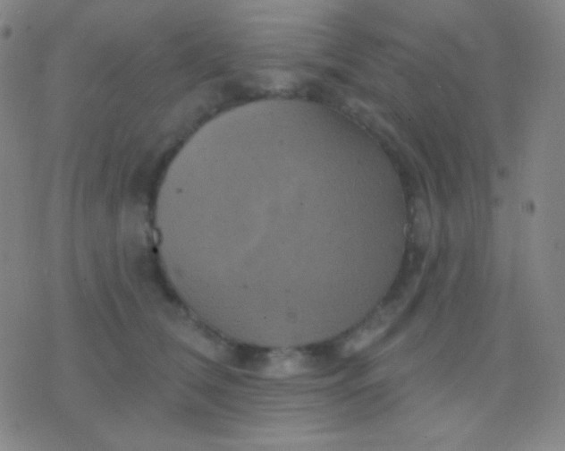 X0000076380612200610202041