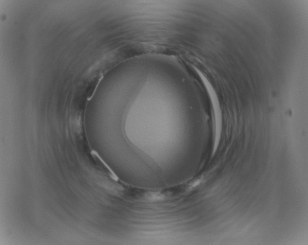 X0000076380613200610202041