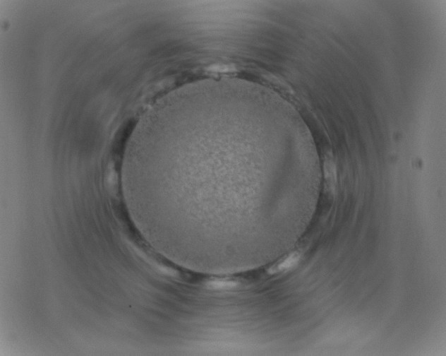 X0000076380614200610202041