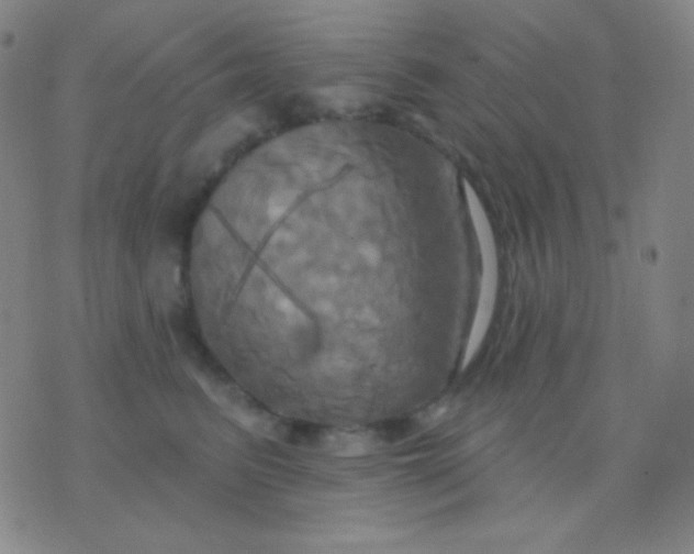 X0000076380615200610202041